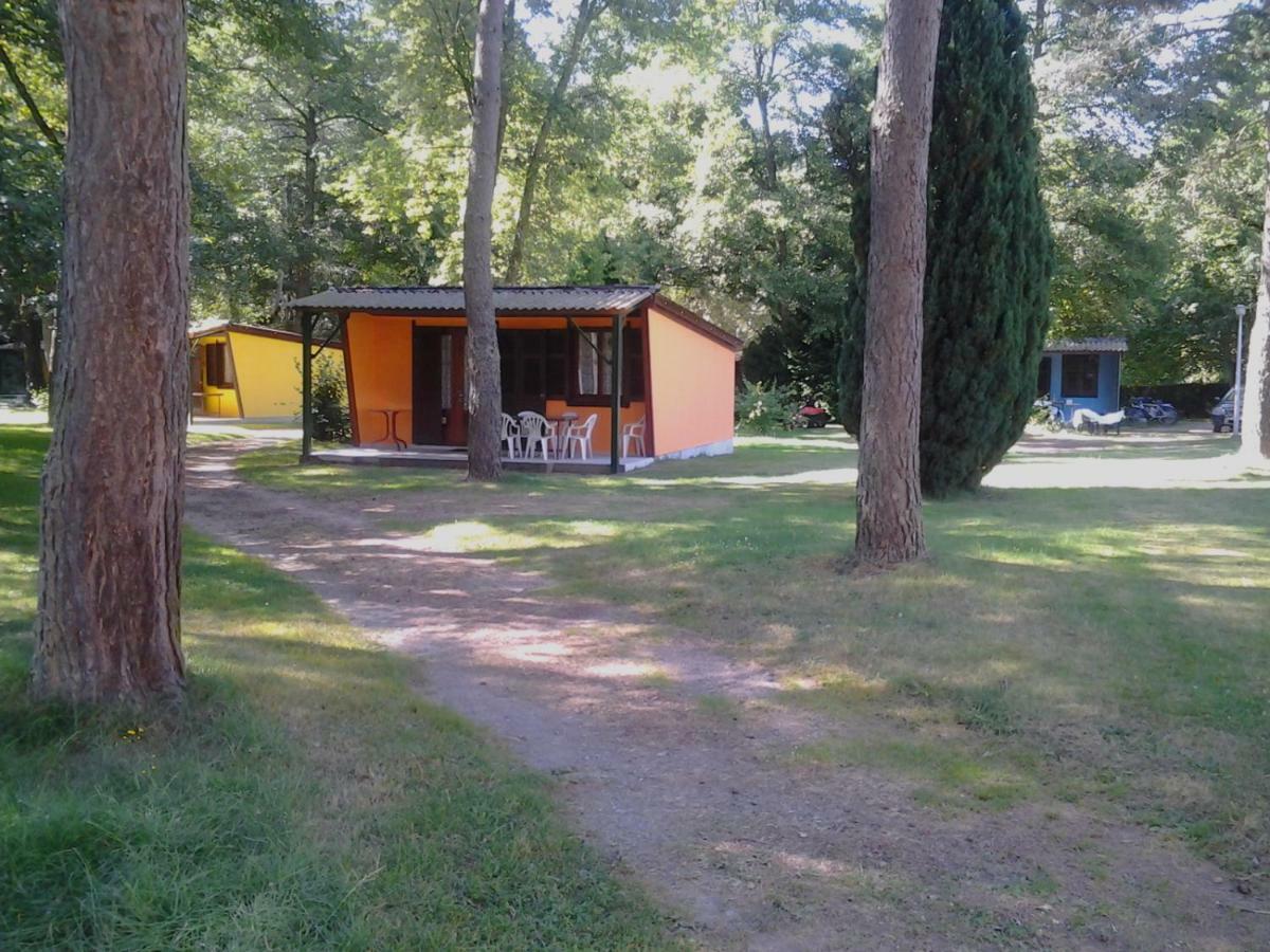 Les Plans Saint-Clement (Allier)